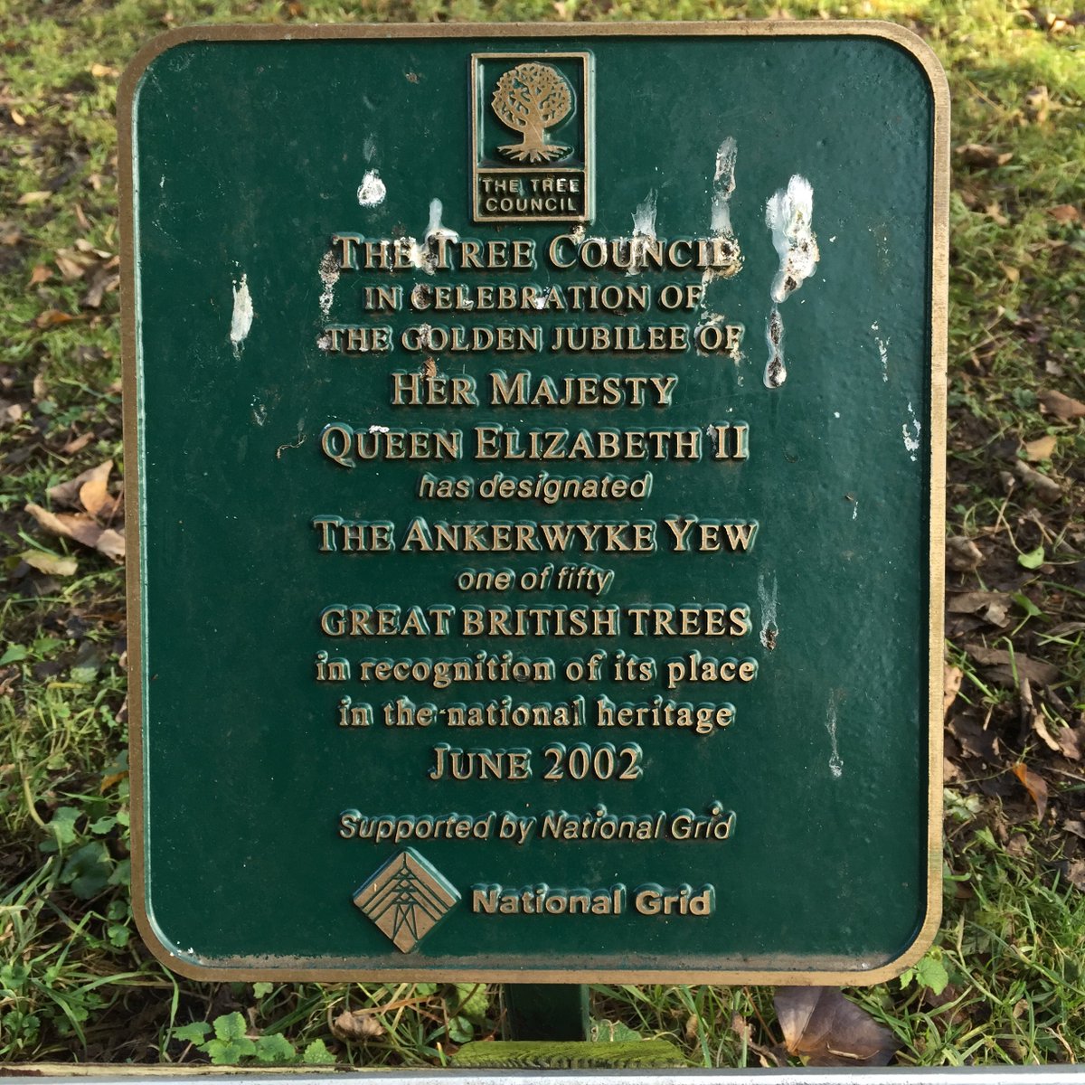 TiCLme's tweet image. Q. How do you measure #greatness in a tree ? 🤔
A. You don’t (we do) 😉

Find #treegreatness @TiCLme 🏆🌳🇬🇧

bsky.app/profile/ticl.m…

#GreatTree #GreatTrees #GreatTreesof #GTOB #GTOL

@LTOA33 @TheTreeCouncil  @QueesCanopy