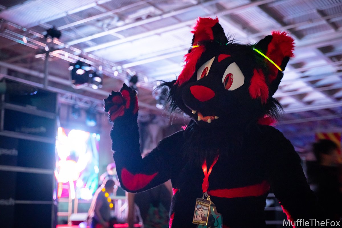 We are just one day away from seeing you all at Galactic Camp!! We have a stacked lineup of panels, musical act and so much more. 

Check it all out here: galacticcamp.com/schedule