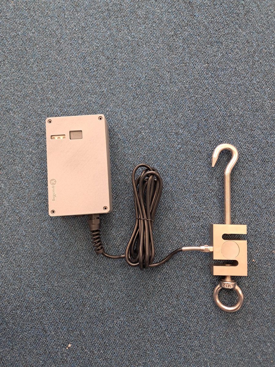 greenYng tweet media