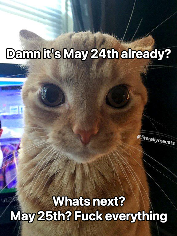 literallymecats's tweet photo. https://t.co/ij0ap6YIi2