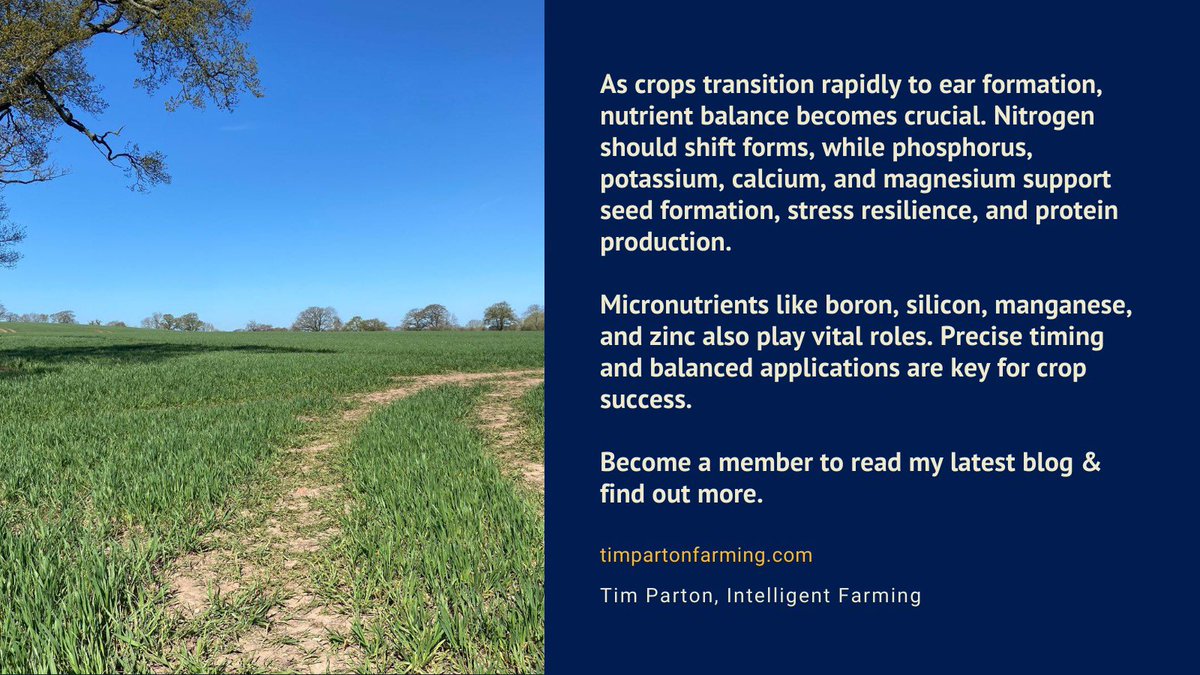 It’s been a very difficult year growing crops in the UK read how I am keeping crops going through foliar feeding at

timpartonfarming.com