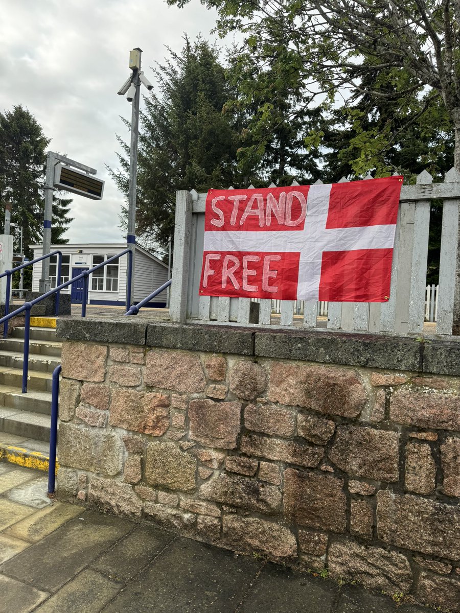 EmmaMac25's tweet image. The sheep are off to Hampden, Conor Barrons in his bed 🎶