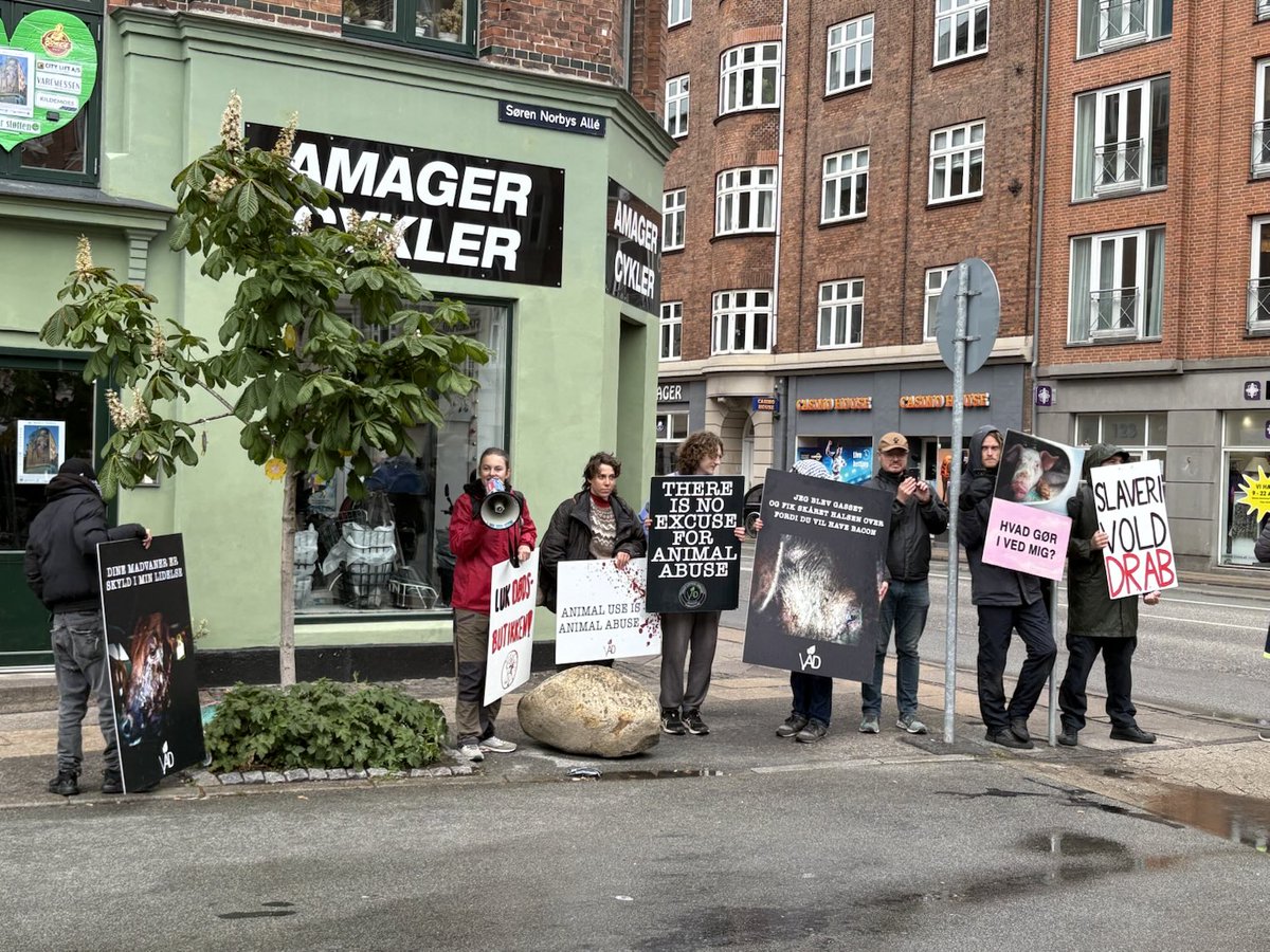 Det begynder så småt at tynde ud af veganer demonstranter mod slagtere på Amager 😂#dkpol