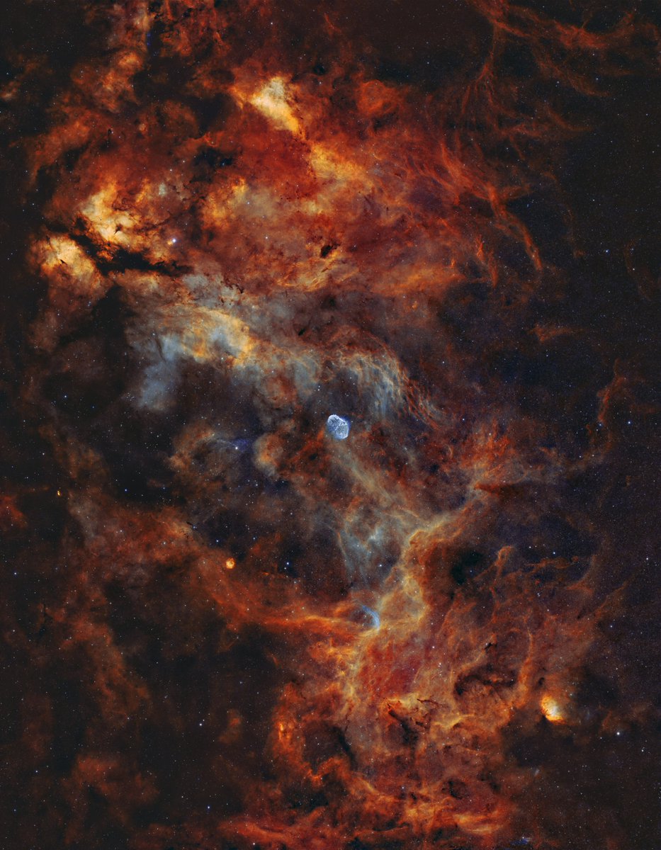 Cygnus 2 Panels
Imaging #Telescopes:William Optics Pleiades 68
#Cameras: ZWO ASI6200MM Pro 
Mounts: ZWO AM5 
Frames:
#Optolong H-Alpha 3nm 2": 76×300″(6h 20′)
Optolong OIII 3nm 2": 76×300″(6h 20′)
Optolong SII 3nm 2": 76×300″(6h 20′)
Integration: 19h
Credit: Jeko Jekov
#3nm #SHO