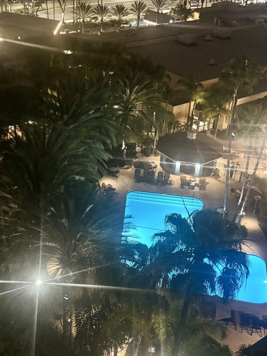 Bows 🌴🏄‍♂️