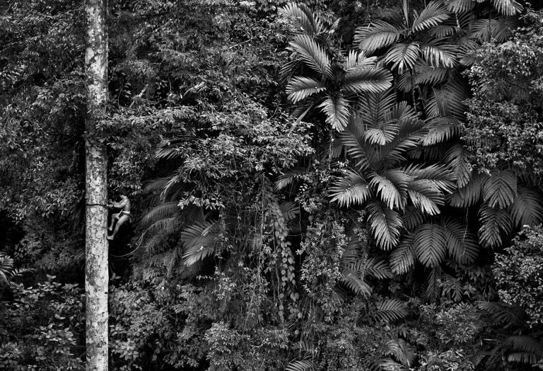 👋 ¡Hasta siempre, Sebastião Salgado!

El fotógrafo brasileño deja un valioso legado en nuestras #ColeccionesReales con la donación que realizó en 2022.

📸 Gracias por tu generosidad y, sobre todo, gracias por tu compromiso con la justicia, el medio ambiente y el arte