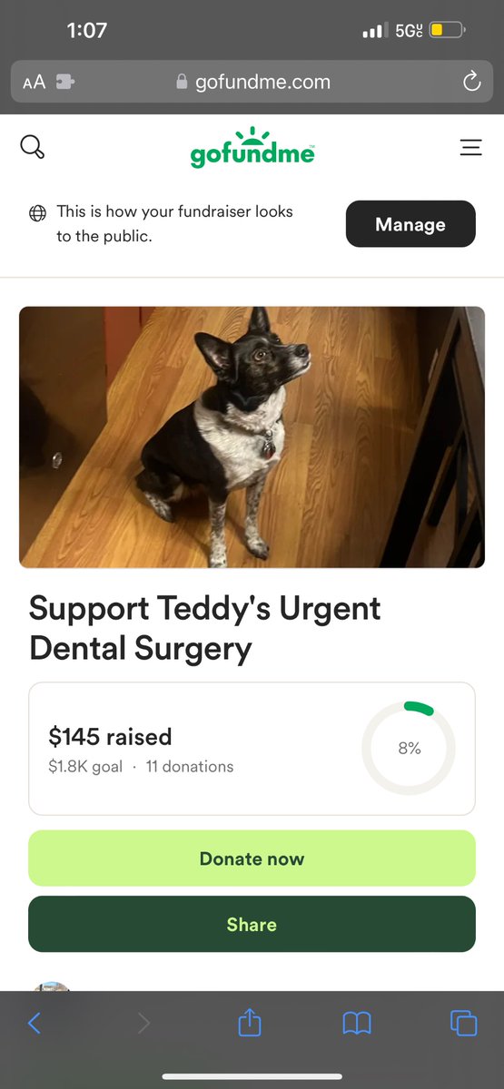 KeefKrunchy's tweet image. My sweet girl has a painful dental infection and needs urgent surgery to have her teeth pulled. 💔 Every little bit helps please consider donating or sharing her GoFundMe 🐾❤️

#dogsoftwitter #pethelp #gofundme #doglovers #crowdfunding