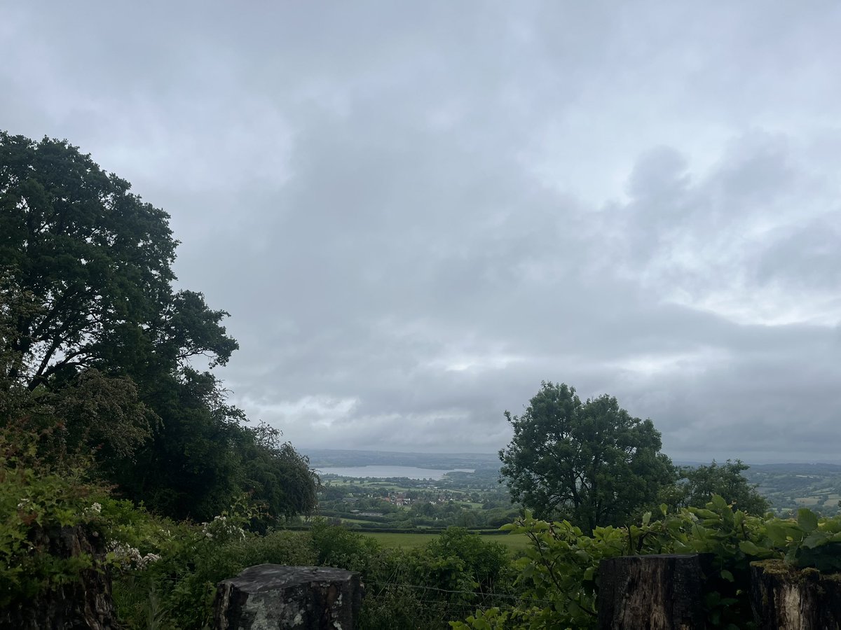 Hanham Woods D of E tweet media