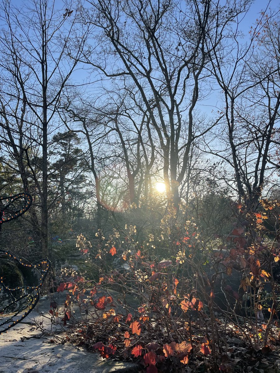 Lex Luger tweet media