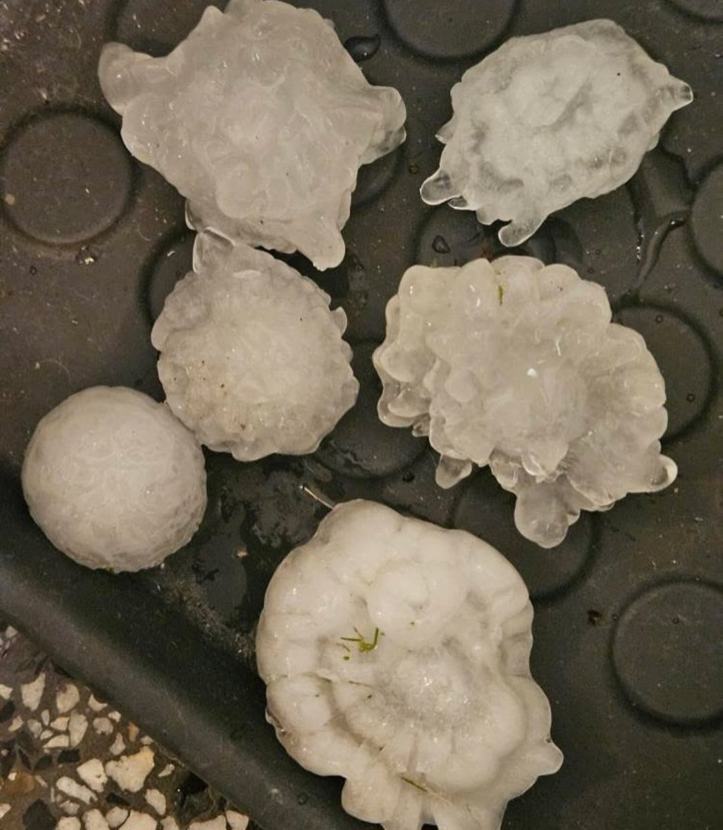 meteo60's tweet photo. De violents #orages accompagnés de fortes chutes de #grêle ont concerné les environs de Belgrade en #Serbie ce 23 mai. Les #grêlons ont dépassé les 6/7cm de diamètre et engendré de nombreux dégâts. 
Photos via @Hailz_Serbia https://t.co/FlvET6YbEC
