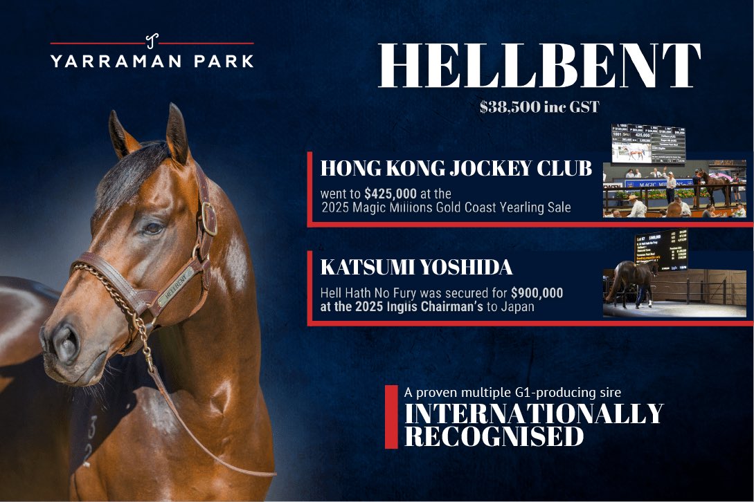 HELLBENT 🔥

A proven multiple G1-producing sire 👑

<a href="/yarramanpark/">Yarraman Park Stud</a>