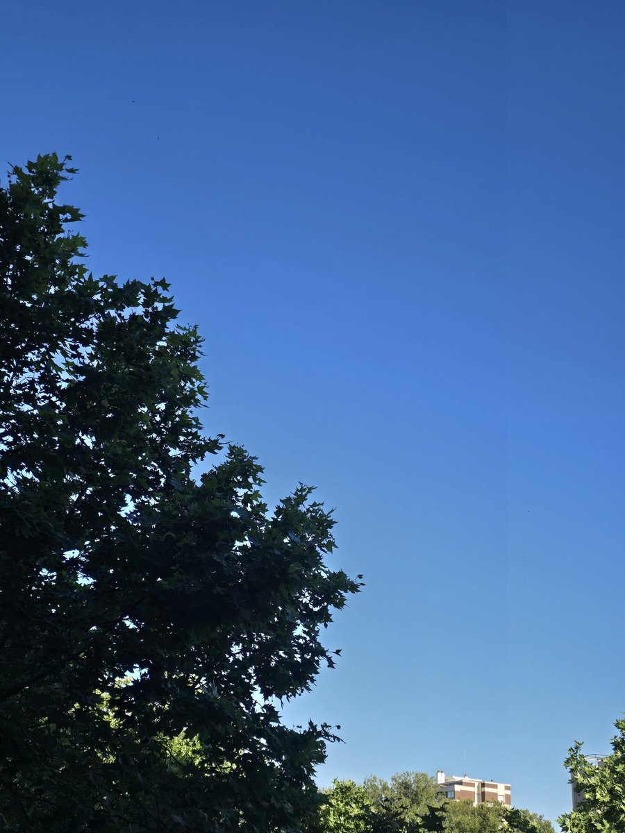 M.Isabel (@gramareus) on Twitter photo The blue sky! 💙
18°C a Reus
#Reus #bluesky #spring
<a href="/SeguimlaMeteo/">Seguim la Méteo</a> #somhi <a href="/StormHour/">#StormHour</a> <a href="/JRovireta/">Jordi Rovira</a> <a href="/ecazatormentas/">Cazatormentas</a> <a href="/javioru/">Javi Martinez</a>
<a href="/SomosMeteo/">SomosMéteo</a> <a href="/Alex_MeteoM/">AlexMeteoM</a> #bondia #GoodMorning The blue sky! 💙
18°C a Reus
#Reus #bluesky #spring
<a href="/SeguimlaMeteo/">Seguim la Méteo</a> #somhi <a href="/StormHour/">#StormHour</a> <a href="/JRovireta/">Jordi Rovira</a> <a href="/ecazatormentas/">Cazatormentas</a> <a href="/javioru/">Javi Martinez</a>
<a href="/SomosMeteo/">SomosMéteo</a> <a href="/Alex_MeteoM/">AlexMeteoM</a> #bondia #GoodMorning