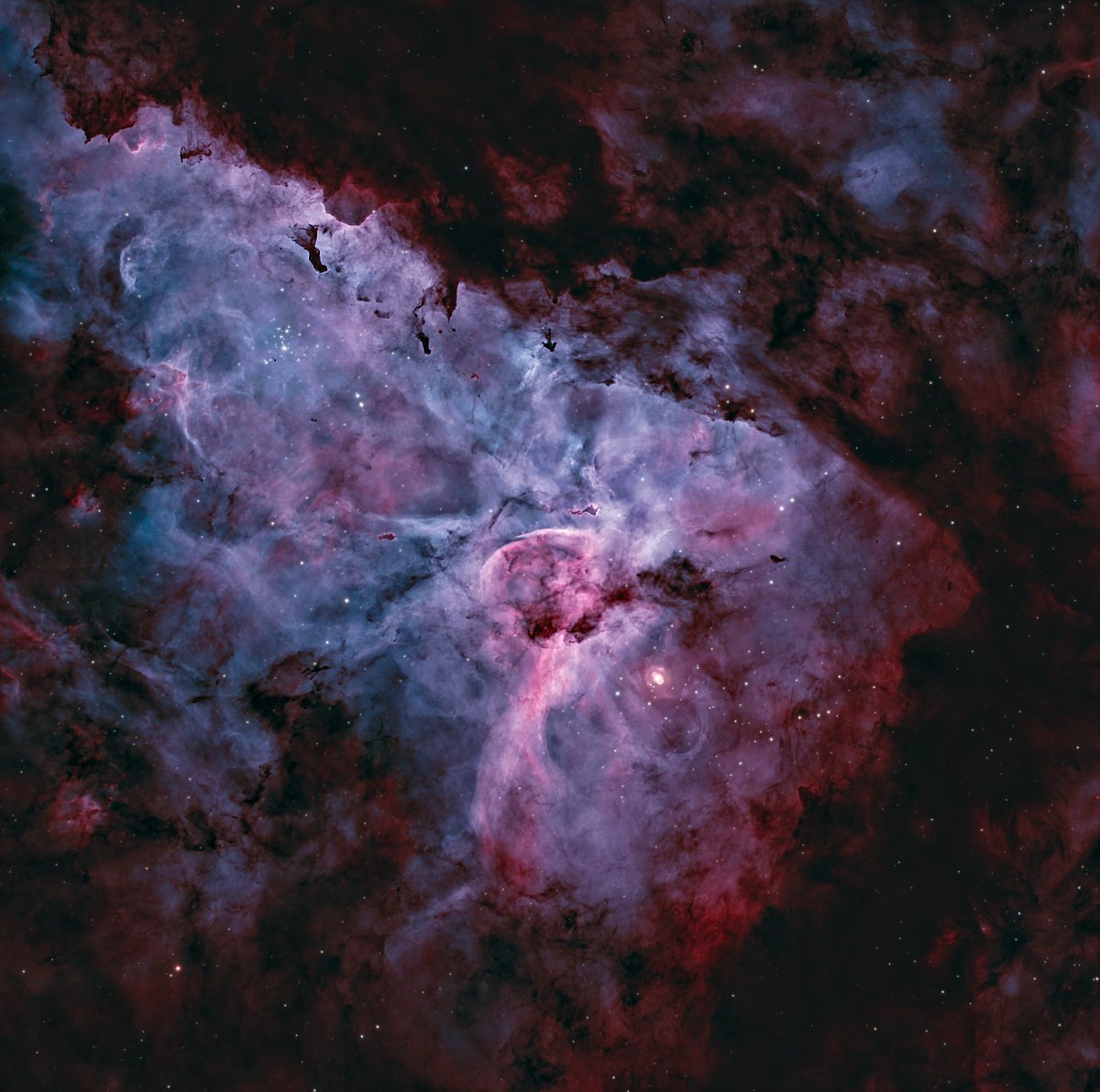 A wide field and a close up image of The Carina Nebula.
The second close up image was taken with EdgeHD8 at f7 1480mm fl.
ASI533MC Pro
#Optolong L-Extreme filter
772 x 120sec, around 25hrs total exposure time
Credit: Frank Arapovic
Enjoy~
#dualband #7nmdual #anitlightpolution