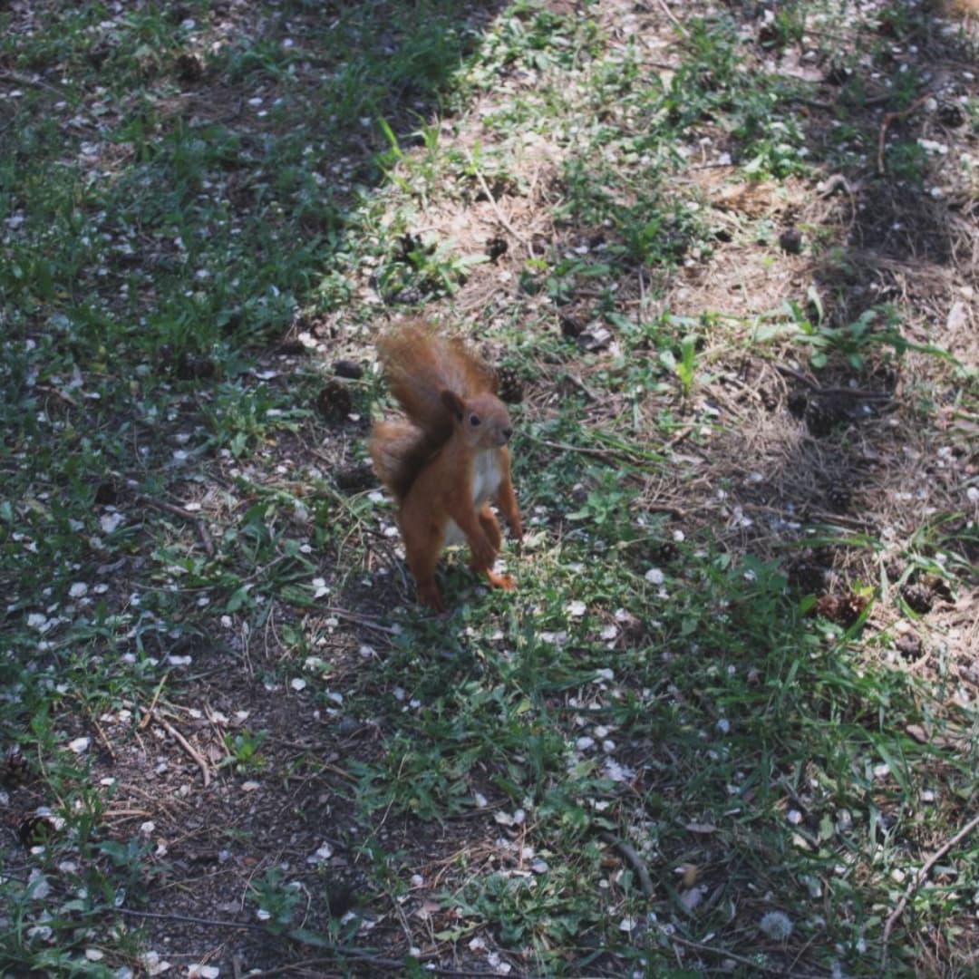 меняемся. tweet media