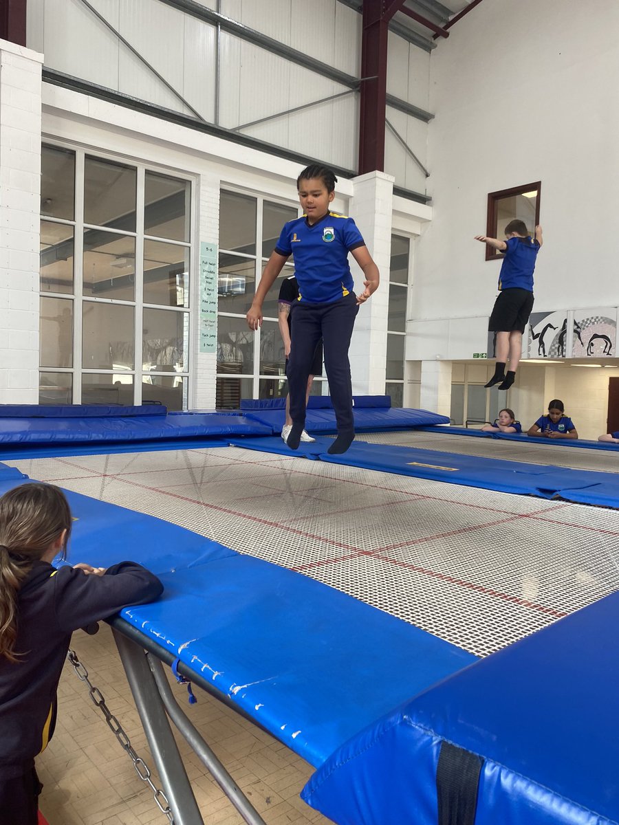 Water Primary tweet media