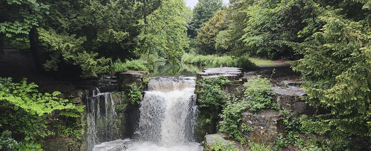 Jesmond Dene parkrun tweet media