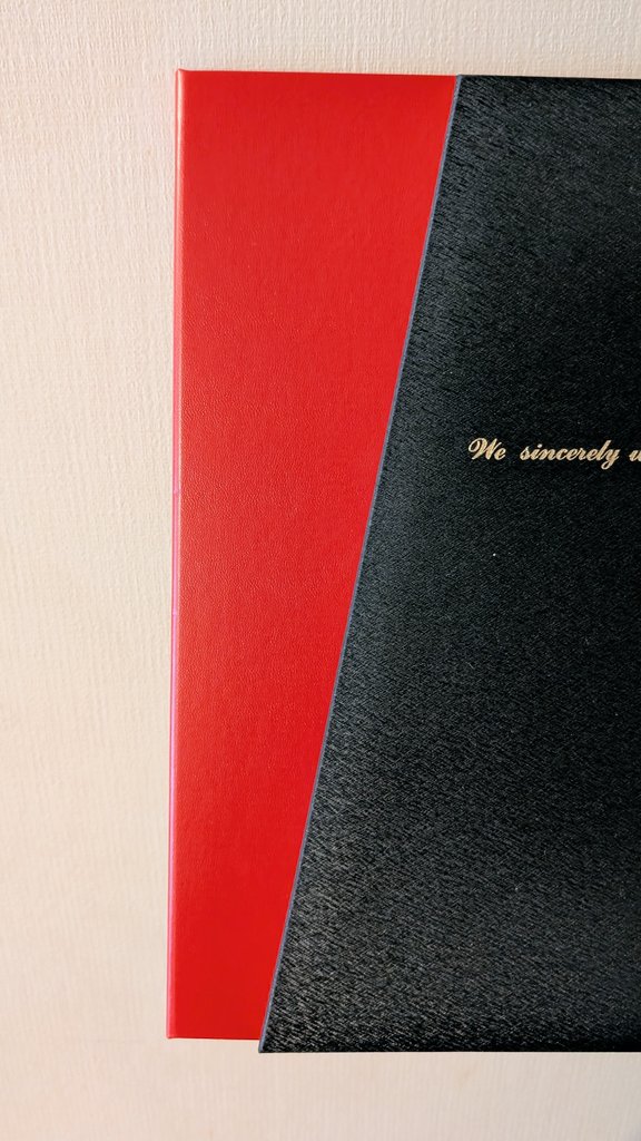 成人式の前撮りのアルバムが届いたんだけど、表紙の色合いがあまりにも救済すぎる