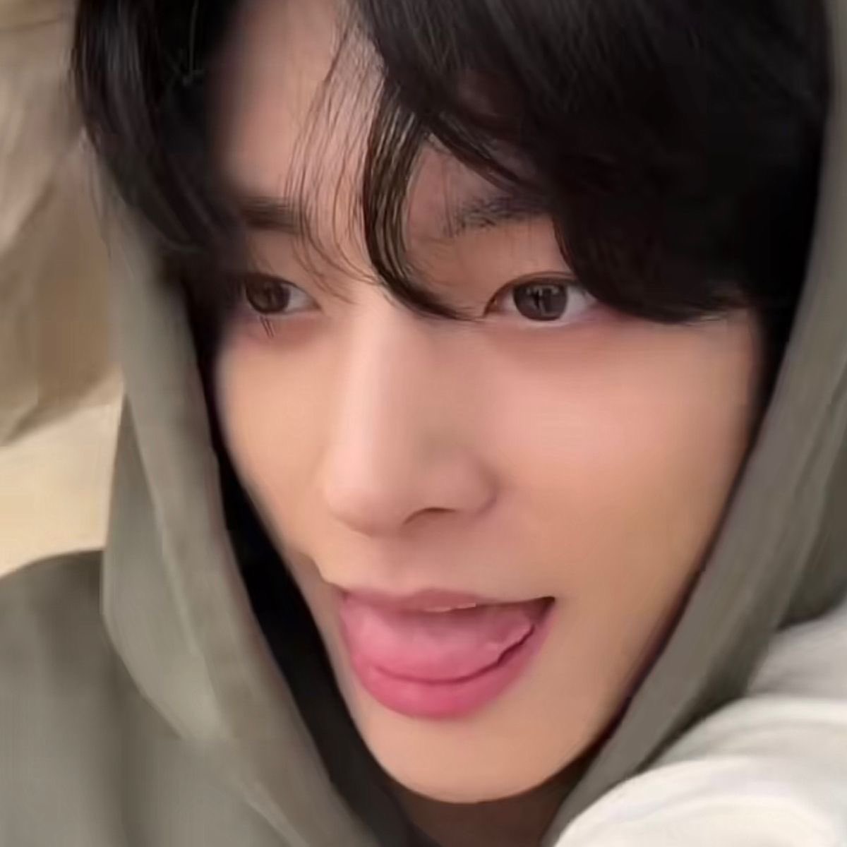 puppyunie puppikeu jakeypup