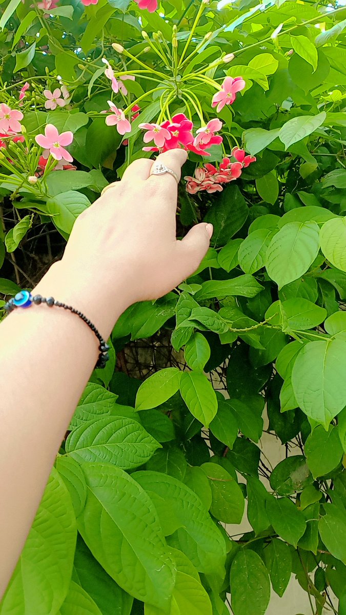Let nature hold your hand for a moment💛🌼🌼