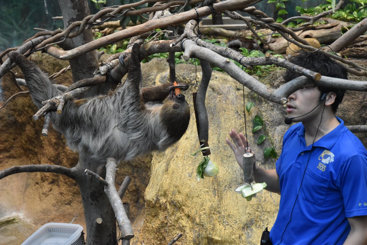 いしかわ動物園【公式】 on X