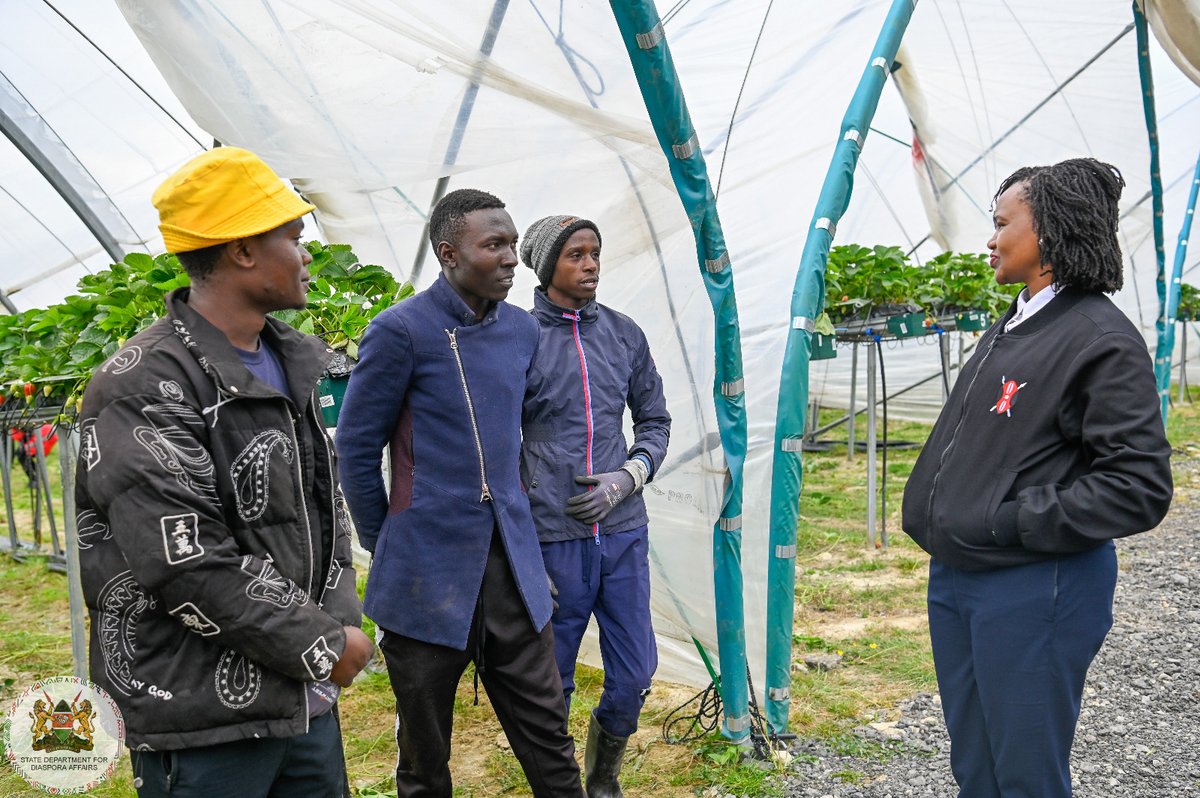 State Department for Diaspora Affairs | Kenya (@diaspora_ke) on Twitter photo The Principal Secretary for Diaspora Affairs, Ms. <a href="/roselinenjogu/">Roseline Kathure Njogu, CBS π°πͺ</a> , conducted a welfare visit to Kenyan workers at Charlton Farm in Maidstone, United Kingdom, as part of ongoing engagement with the Kenyan diaspora.
Accompanied by Members of Parliament, Hon. Lydia Haika Munene and The Principal Secretary for Diaspora Affairs, Ms. <a href="/roselinenjogu/">Roseline Kathure Njogu, CBS π°πͺ</a> , conducted a welfare visit to Kenyan workers at Charlton Farm in Maidstone, United Kingdom, as part of ongoing engagement with the Kenyan diaspora.
Accompanied by Members of Parliament, Hon. Lydia Haika Munene and