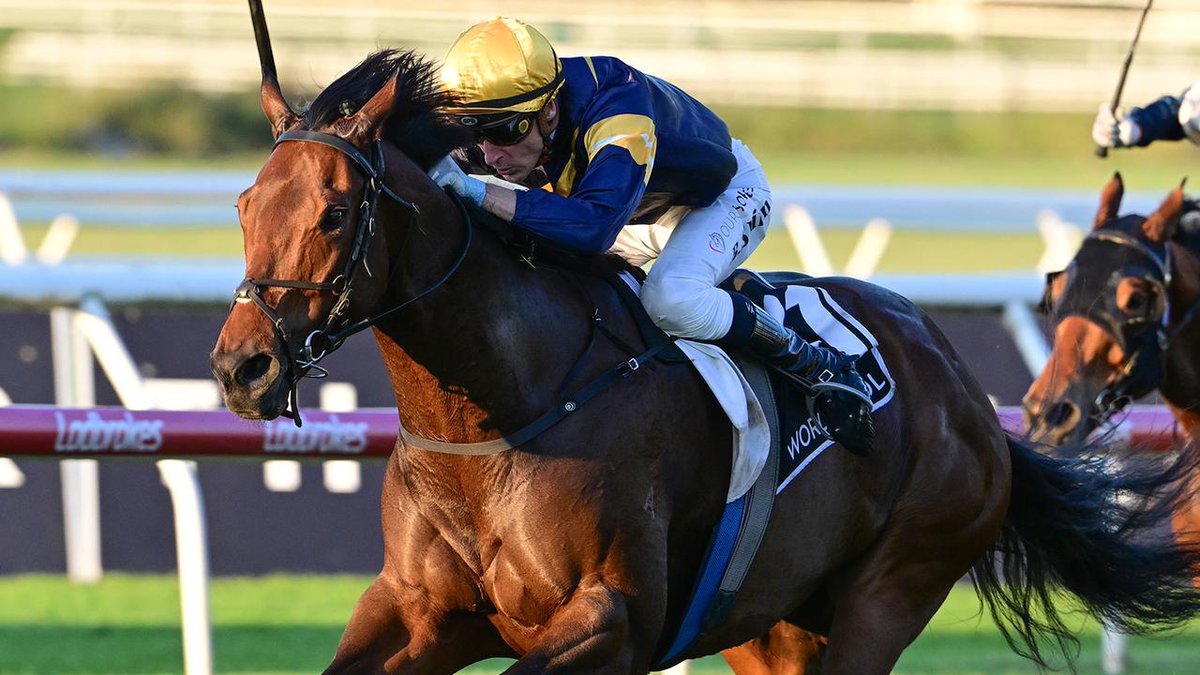 Racenet (@racenettweets) on Twitter photo The Lindsay Park dynasty has a golden chance to win its first Group 1 Stradbroke Handicap after War Machine destroyed his opposition in the Group 3 BRC Sprint. Story: <a href="/bendorries76/">Ben Dorries</a> 👇
racenet.com.au/news/2025-brc-… The Lindsay Park dynasty has a golden chance to win its first Group 1 Stradbroke Handicap after War Machine destroyed his opposition in the Group 3 BRC Sprint. Story: <a href="/bendorries76/">Ben Dorries</a> 👇
racenet.com.au/news/2025-brc-…