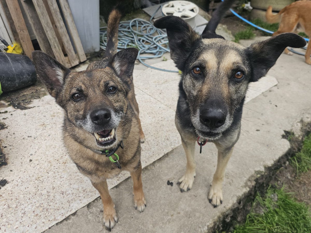 ᑭᏞᗩᑎᗴᎢᗩ Ꮓᗩᖇᑭᗩ tweet media