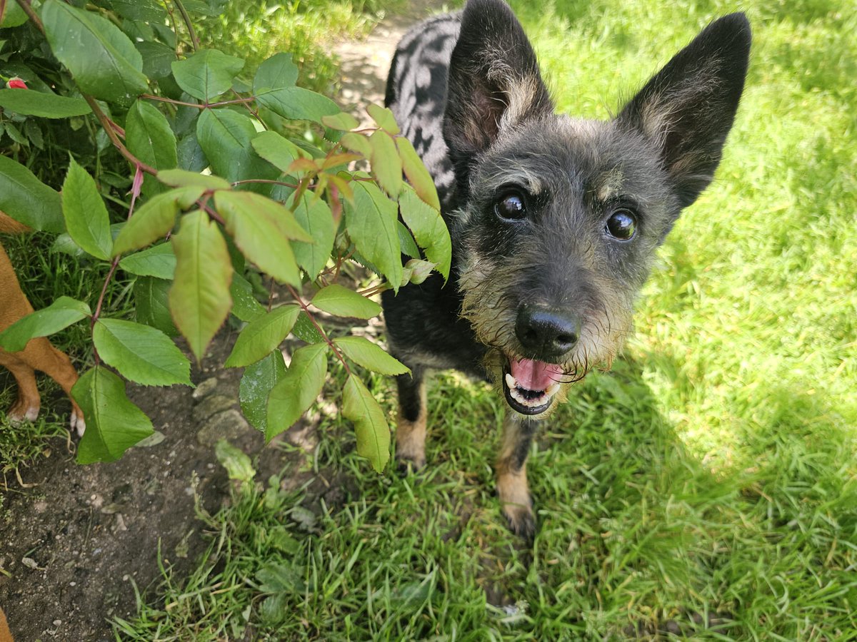 ᑭᏞᗩᑎᗴᎢᗩ Ꮓᗩᖇᑭᗩ tweet media