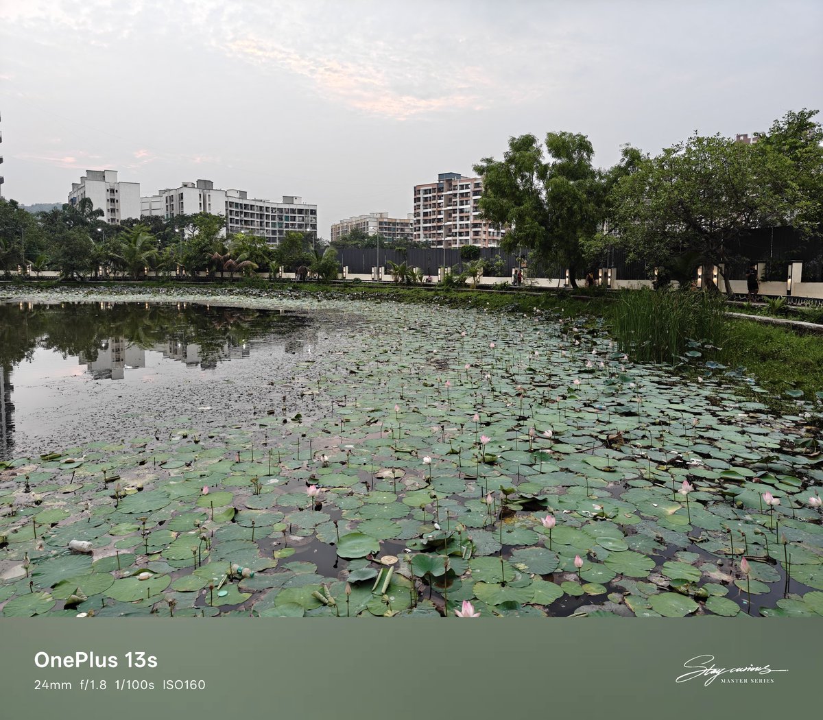 Sudhanshu1414's tweet image. I’ve been testing out the upcoming OnePlus 13s for the past couple of days. 

Sharing some pictures captured with the #OnePlus13s. Let me know what you think of them :)
#ShotOnOnePlus