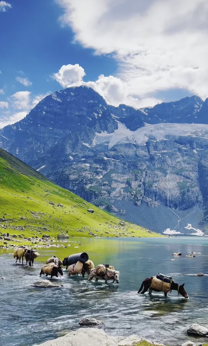 Araids Travel Trips tweet media