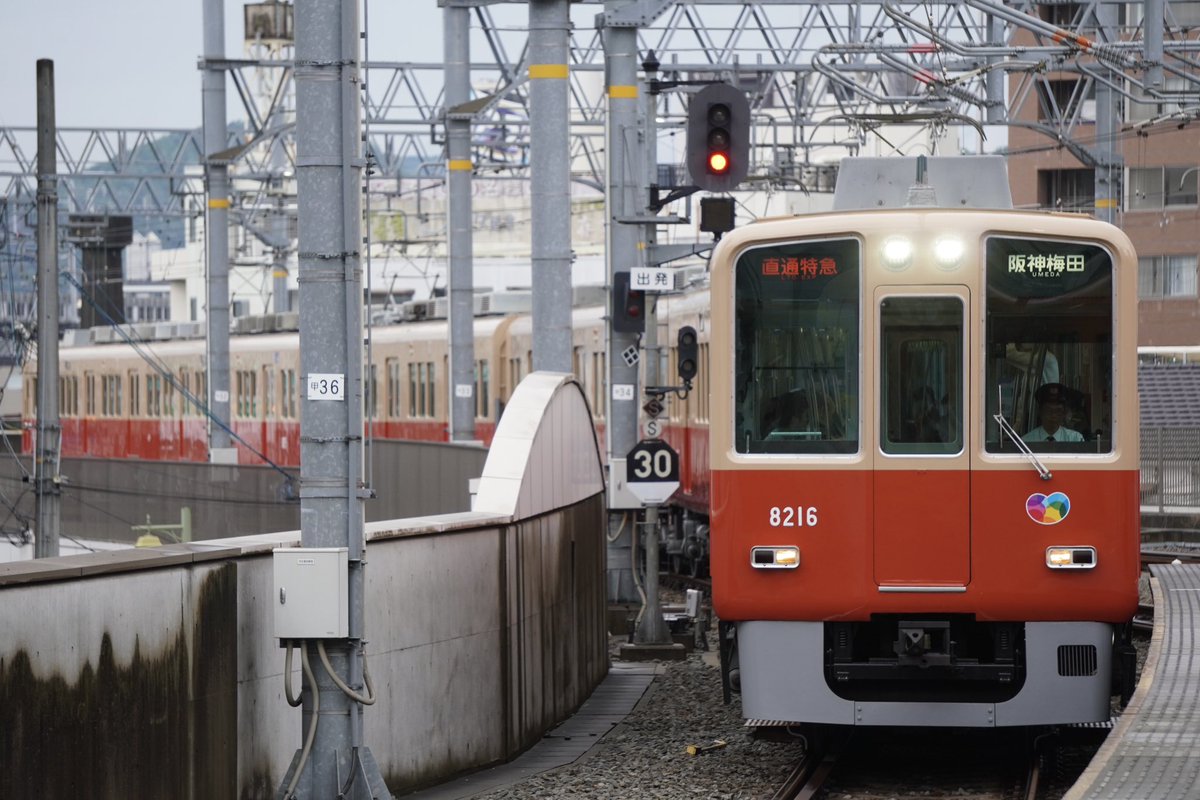 色入れ仕上 HG密自連結 阪神 8000系 旧塗装 姫路ライナーA-6491