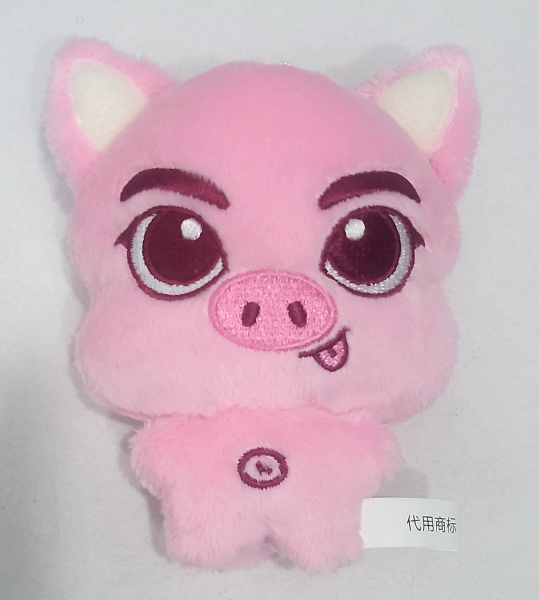 엔하이픈 정원 10cm 인형 쩡돈이 🐽 
쩡돈이의 최종 샘플이 도착했어여의