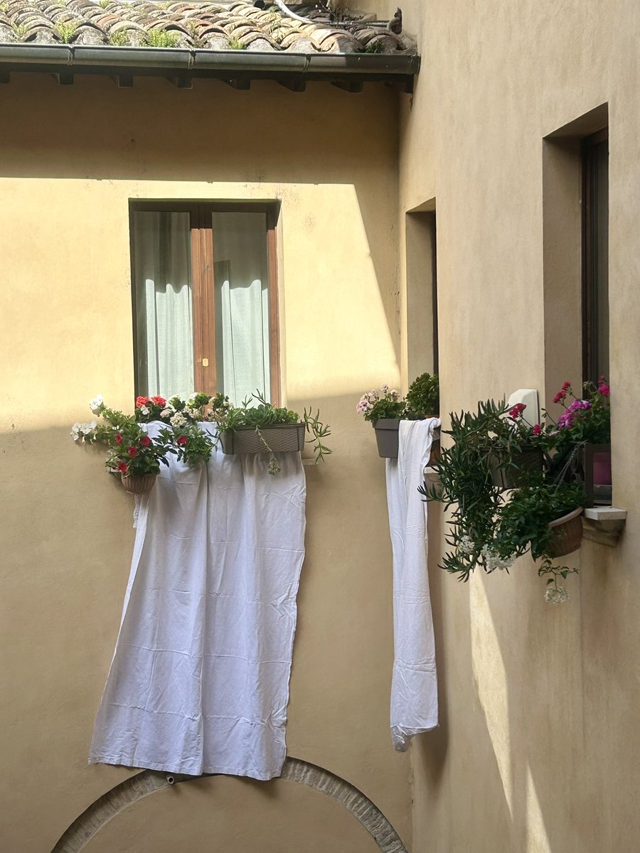 “We teach life, Sir” <a href="/gazalastday/">ultimogiornodigaza</a> #ultimogiornodigaza #gazalastday #50000sudari