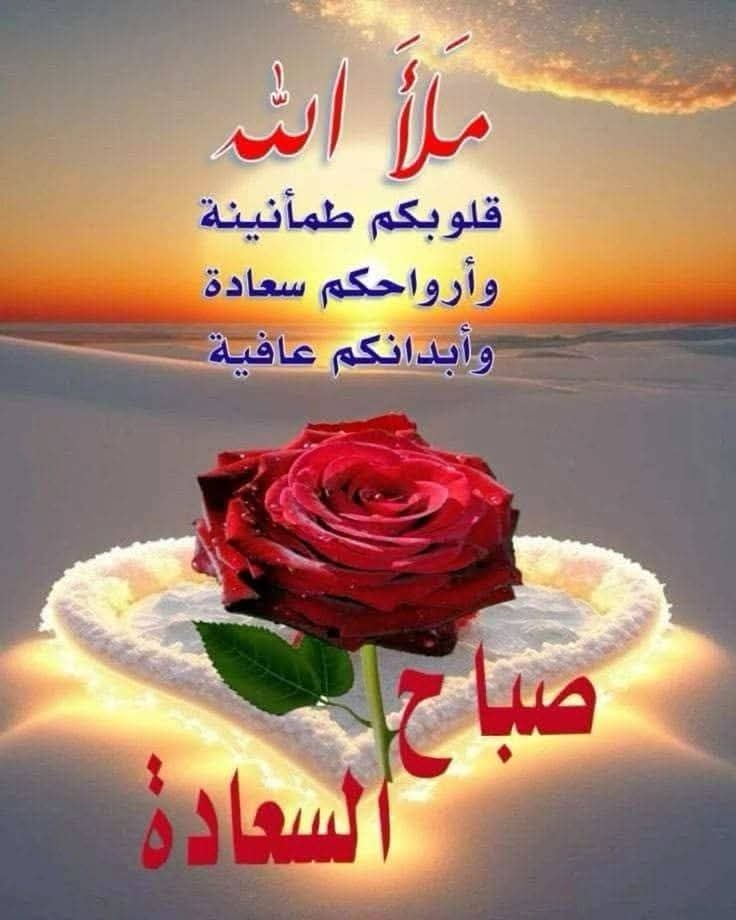 Mohamed mohamed (@mohamedels19013) on Twitter photo 
