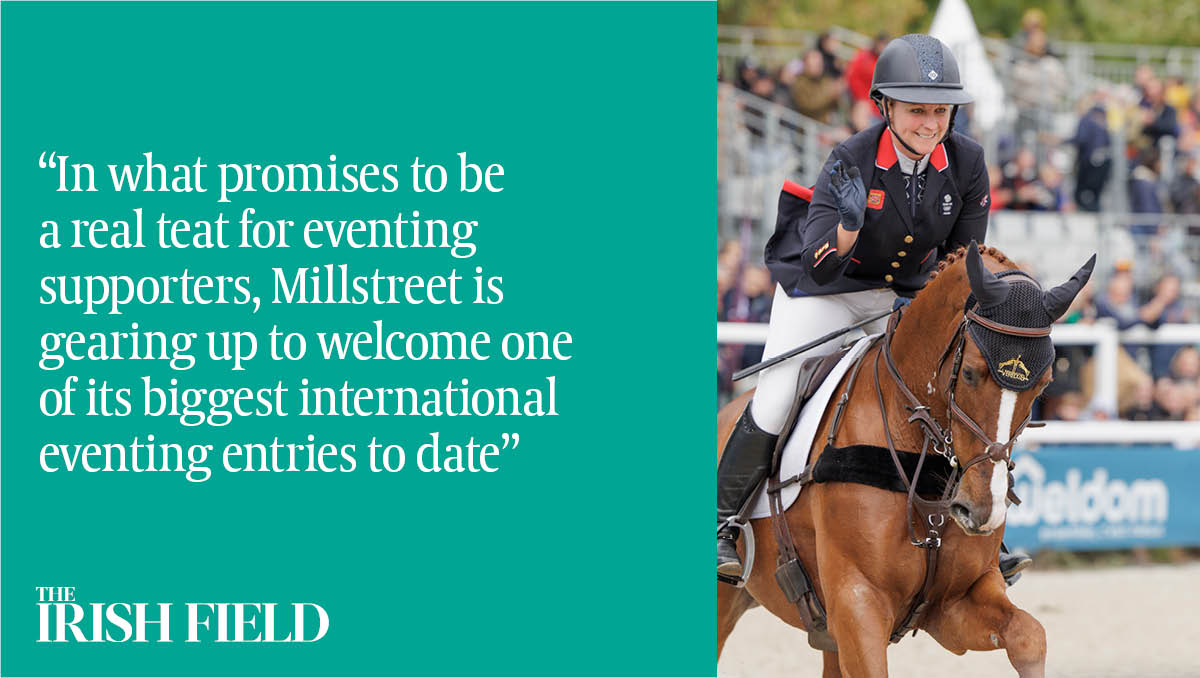 TheIrishFieldHW tweet media