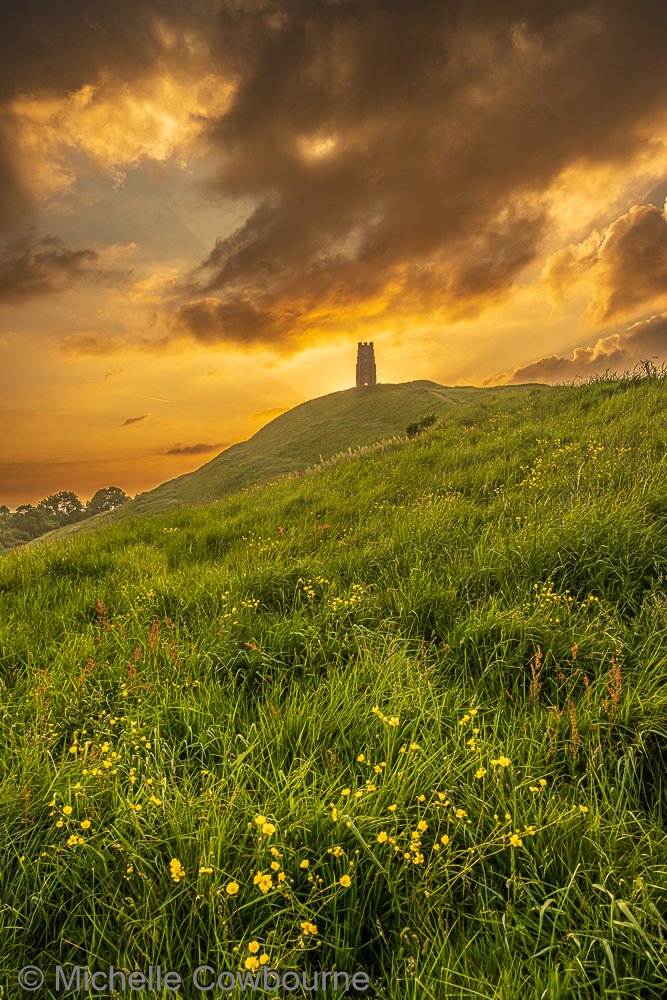 Before the rain, the stormy sky. Glastonbury Tor with buttercups in the foreground.