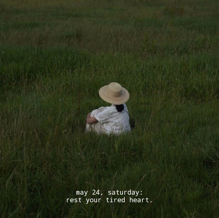 WordsCocoon's tweet image. may 24, saturday...