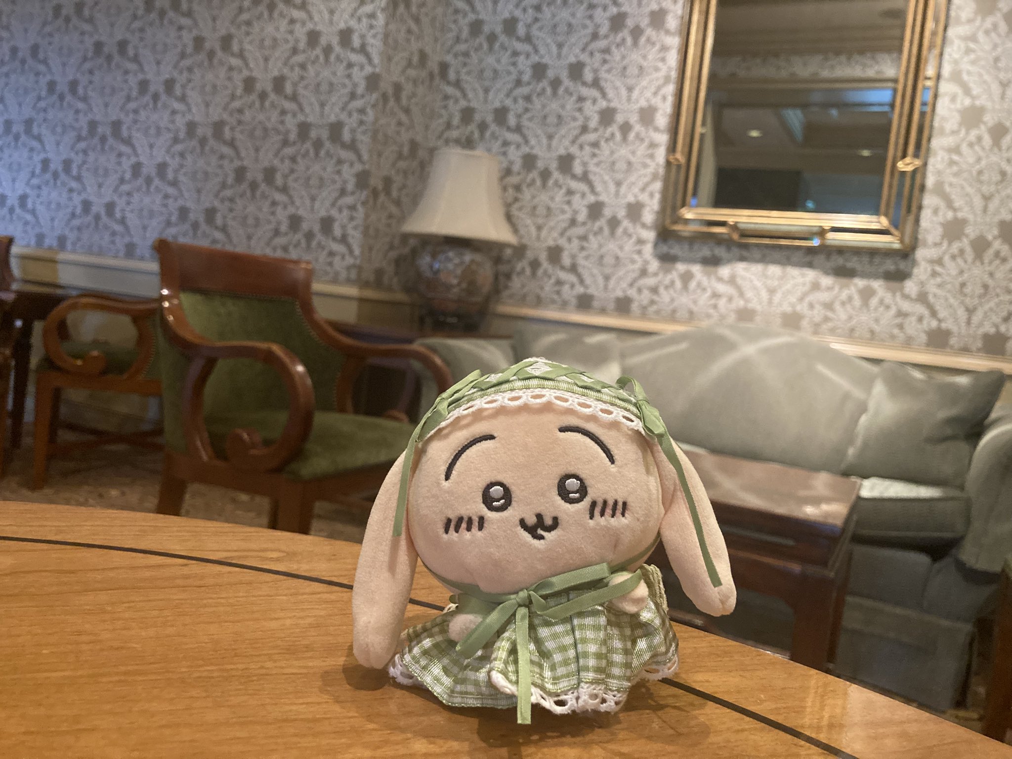 私の部屋 MANY うさぎぬいぐるみ