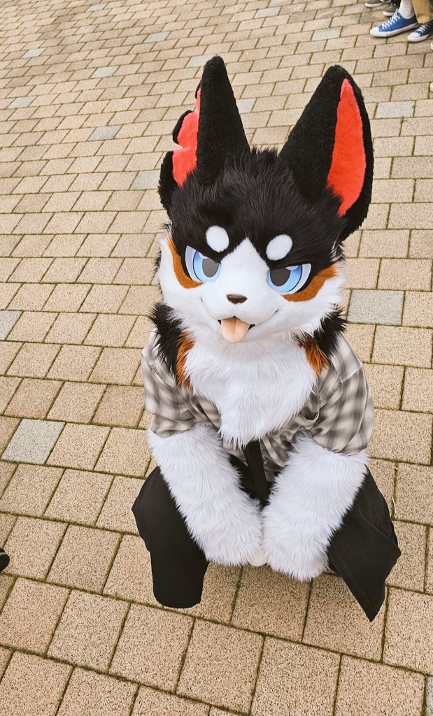 멈무이 쉴드 

<a href="/Bobchaaaa/">밥차(BOBCHA / ボプチャ / 博布查 )🐶🇰🇷</a>