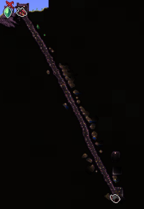 r/Terraria 🌳 tweet media