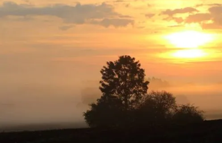 Ratchet9377's tweet photo. Every sunrise at @sign is a gentle reminder we don’t rise alone, we rise as one.
Together, we build dreams, purpose, and progress step by step, soul by soul.
🧡 The real glow isn’t just above us... it’s within our community.
#GoodMorningWithSign #SignStrong #OrangeSoul  #TejRan https://t.co/Oq4u0YYCLQ