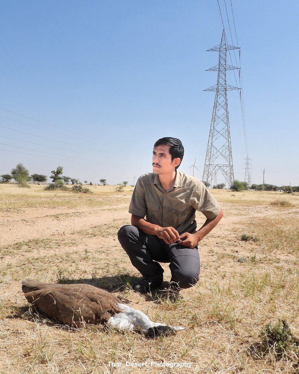 आज थार के वन्यजीव रो रहे है 😥