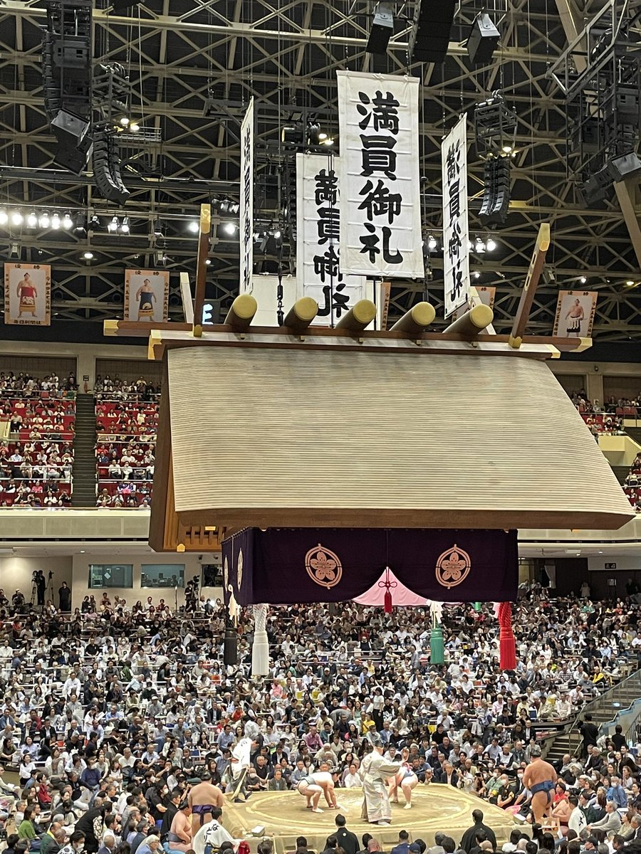 ごみぶた/takanari (@gomibut) on Twitter photo 