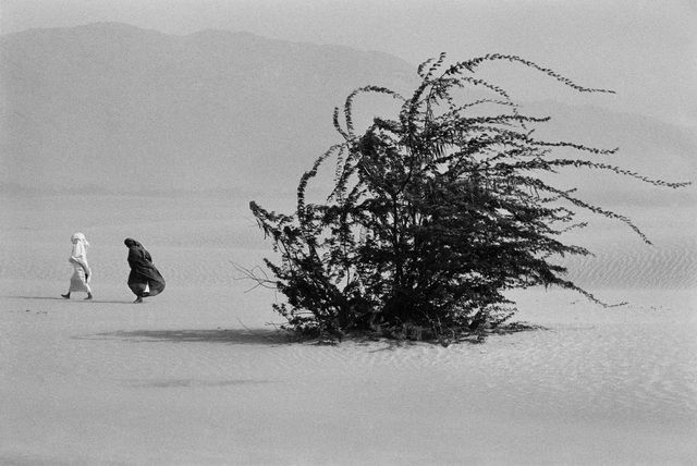 Deserrances's tweet photo. Sebastiao Salgado, Sudan, 1985 https://t.co/M0rPp3QdXq