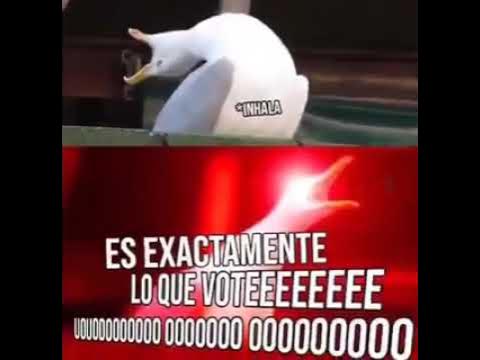 Alexis Jorge tweet media