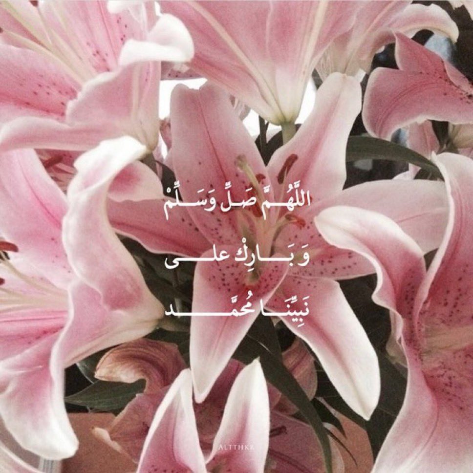 طيف 🪄 tweet media