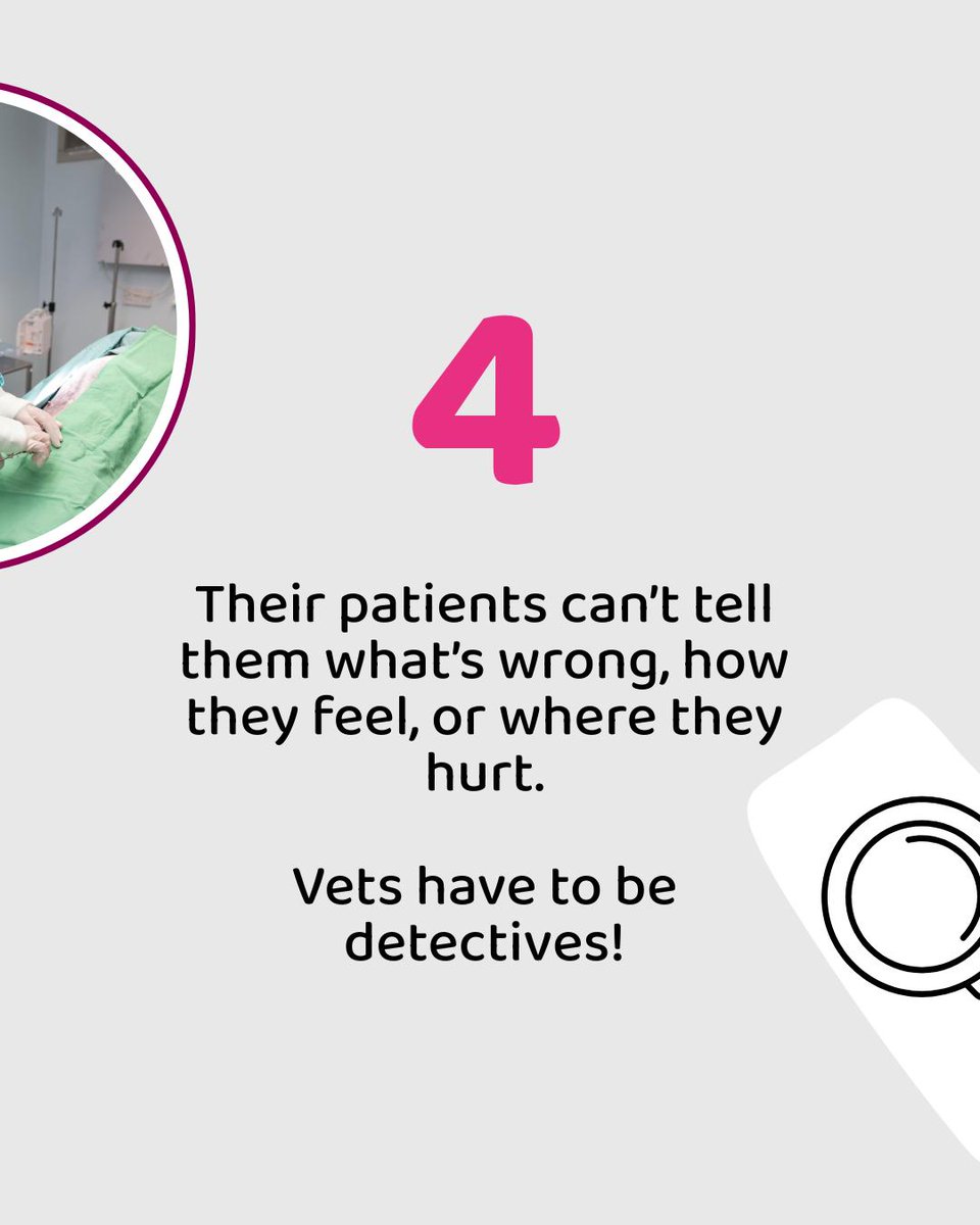 To honour our amazing colleagues working tirelessly throughout our Pet Hospitals, here are four things you may have forgotten about #Vets 👩‍⚕️🐾 

Thank you for dedicating your career to caring for animals of all shapes and sizes 💗