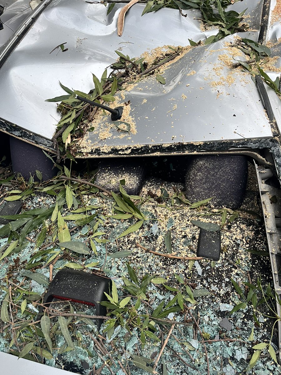 Beatrizcuevas's tweet photo. Ayer cayó sobre este vehículo pesada rama de árbol en el estacionamiento del @ESIMEZ_OFICIAL, el seguro del @IPN_MX no cubre desastres naturales @nmas @AztecaNoticias @ImagenTVMex @lopezdoriga @MVSNoticias @reformaciudad @El_Universal_Mx @telediario @lasillarota @elsolde_mexico https://t.co/Rrn4RWWv7v