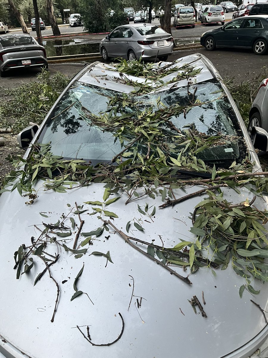 Beatrizcuevas's tweet photo. Ayer cayó sobre este vehículo pesada rama de árbol en el estacionamiento del @ESIMEZ_OFICIAL, el seguro del @IPN_MX no cubre desastres naturales @nmas @AztecaNoticias @ImagenTVMex @lopezdoriga @MVSNoticias @reformaciudad @El_Universal_Mx @telediario @lasillarota @elsolde_mexico https://t.co/Rrn4RWWv7v
