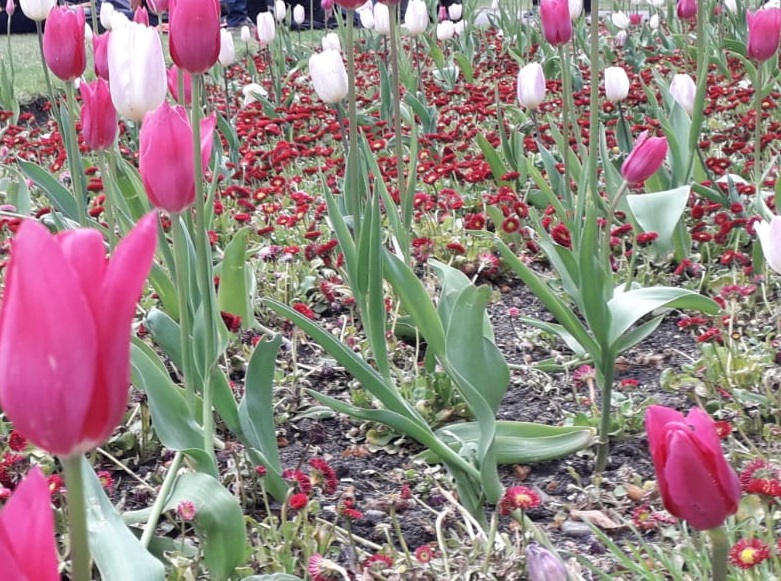 CityVirtualHub's tweet image. (Soho Square) City Virtual Hub hope everyone has a great weekend if you are working or just recuperating.

#cityvirtualhub #virtualhub #londonbusiness #internationalbusiness #entrepreneurs #workfromhome #coworkingspace #sohobusiness #virtualoffice #TGFriday #sohosquare